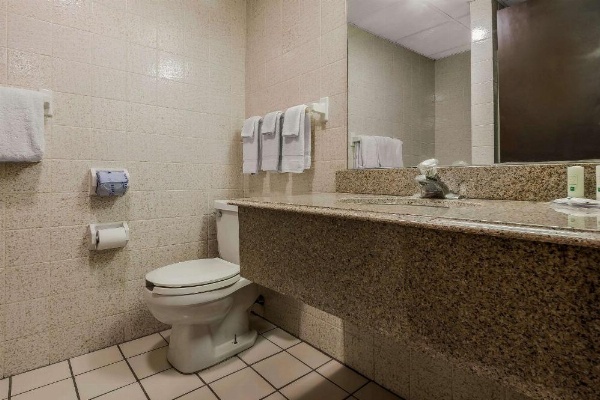 Quality Inn & Suites Binghamton Vestal image 8